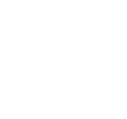 Salgado Automotriz